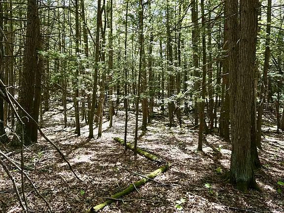 3rd image of LOT 5 Laura Ln