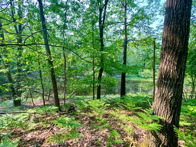 1086-1087 Michaywe Dr, Gaylord, MI, 49735