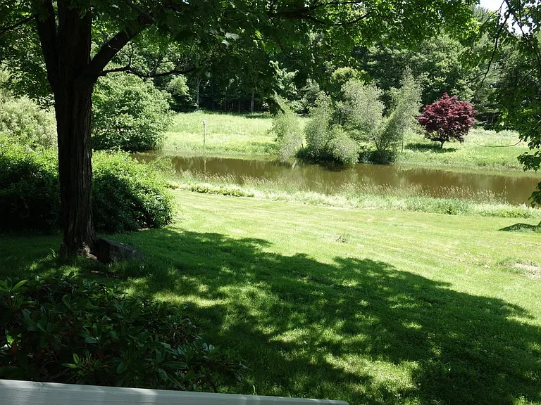 View of pond from deck