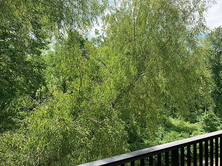 260 Robertson Way #260 — Photo 16