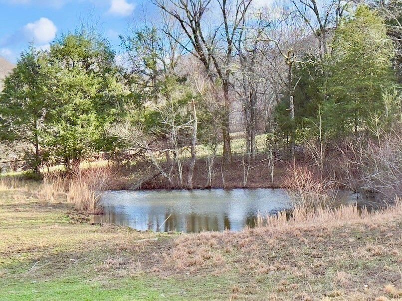 49th image of 161 Fowler Rd