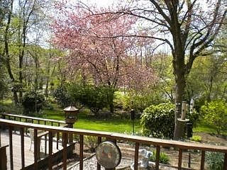 2nd image of 614 Hyde Run Dr