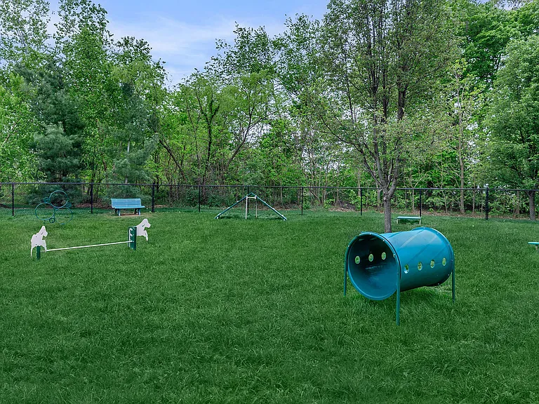 Dog Park