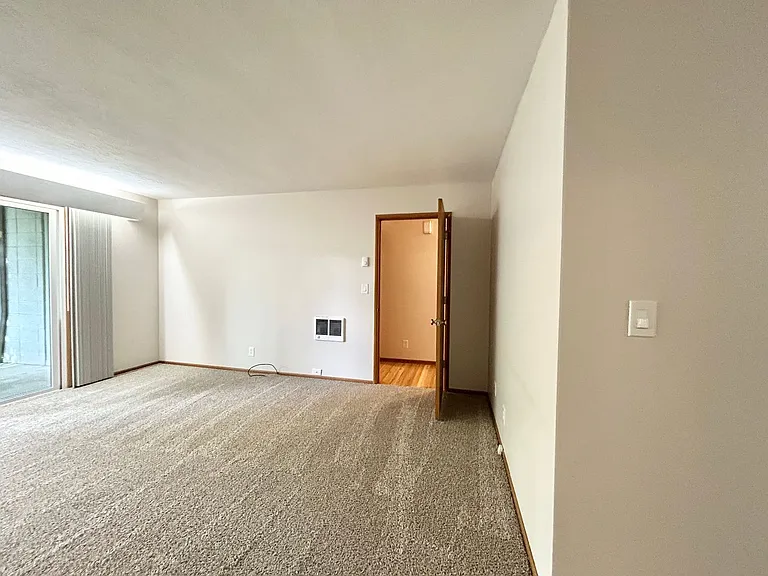 laurel leaf — Photo 19