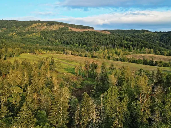 Mount Tom Dr Lot 9, Harrisburg, OR 97446