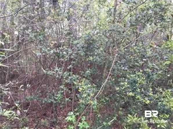 0 S 5th St, Citronelle, AL 36522