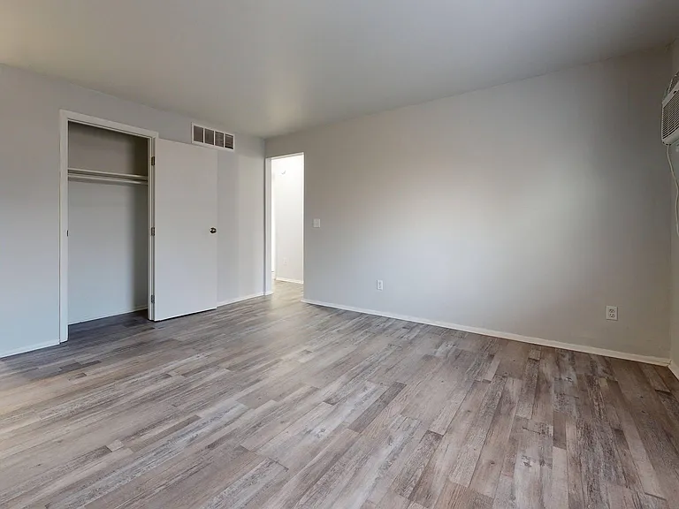 Vinyl Wood Flooring Throughout