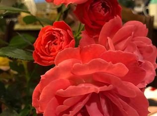 7 Ross, Irvine, CA 92620