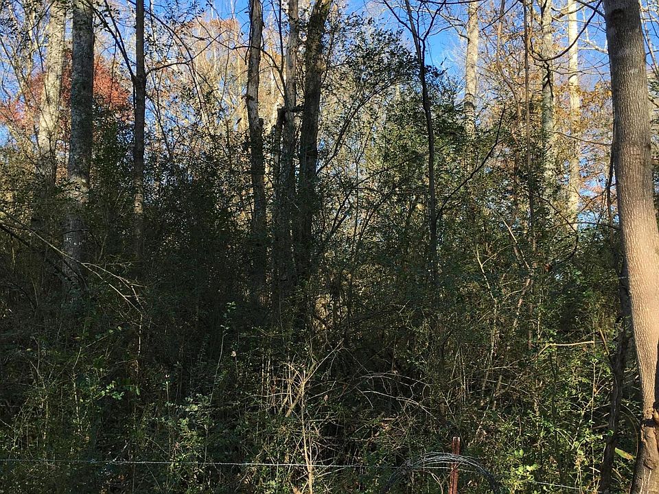 2nd image of Cane Creek Mtn Rd