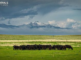 Squirrel Creek Rd, Colorado Springs, CO 80928