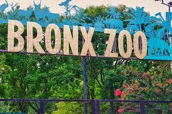 Sold by Weichert Properties - NYC | media 21