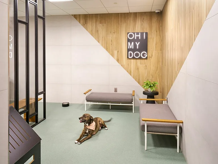 Brand New Pet Spa