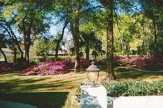 Front door
						:
						Spring yard view looking out your front door