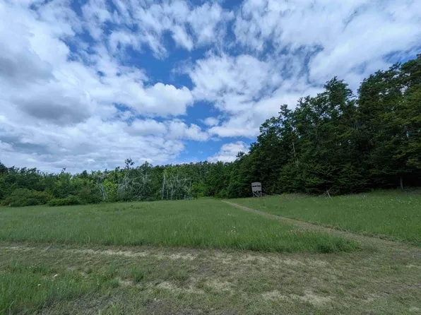4439 Kuzmik Rd, Elmira, MI 49730