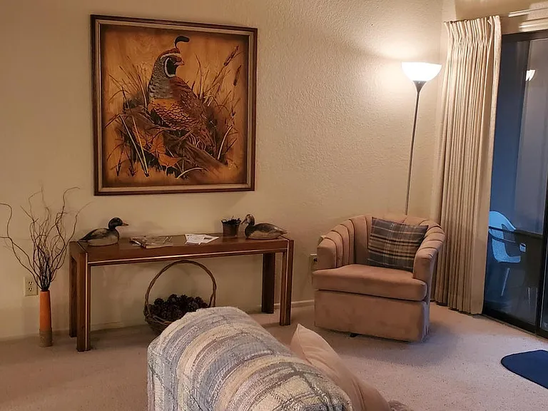 2820 Sports Village Loop #49-1 — Photo 3