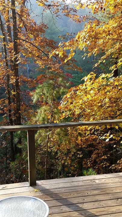 Fall foliage from deck