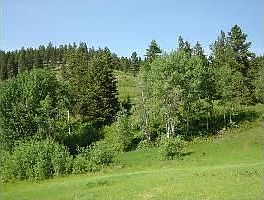 2nd image of 1631 Bonanza Hill Rd N