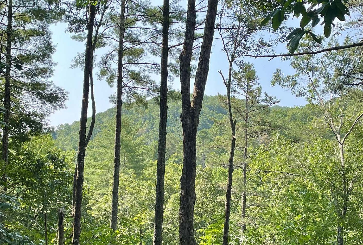 206 Mountain View Dr, Cherry Log, GA 30522 Zillow