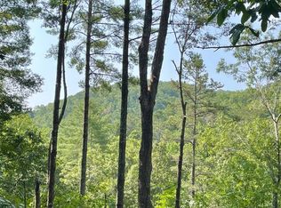 206 Mountain View Dr, Cherry Log, GA 30522