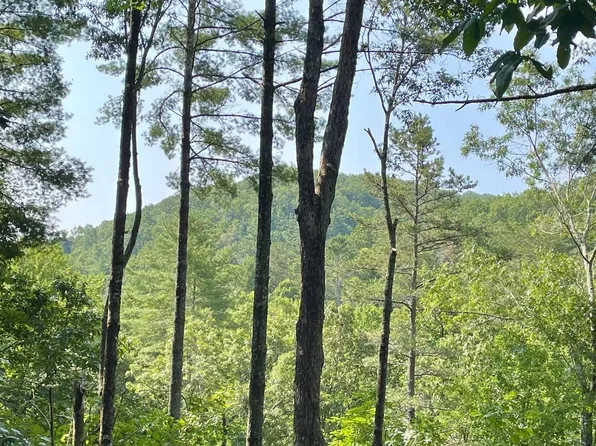 206 Mountain View Dr, Cherry Log, GA 30522