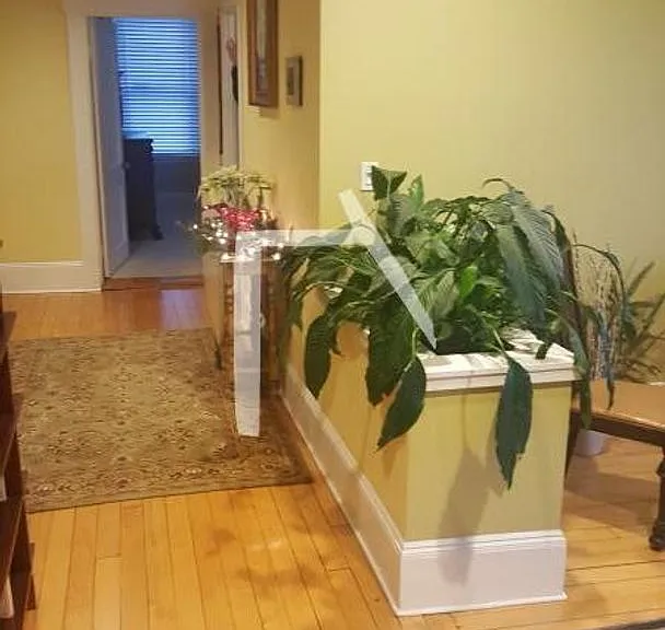 1175 Commonwealth Ave #5 — Photo 1