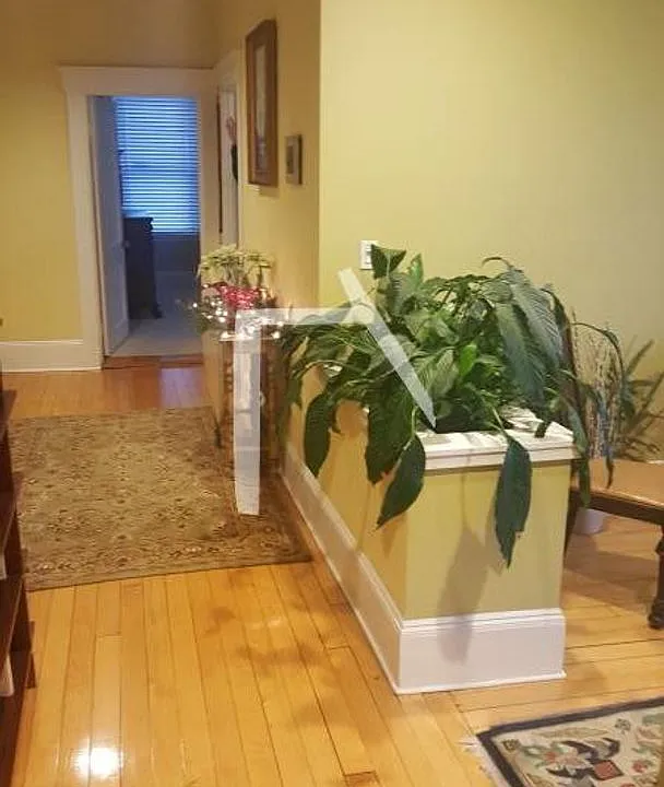 1175 Commonwealth Ave #5