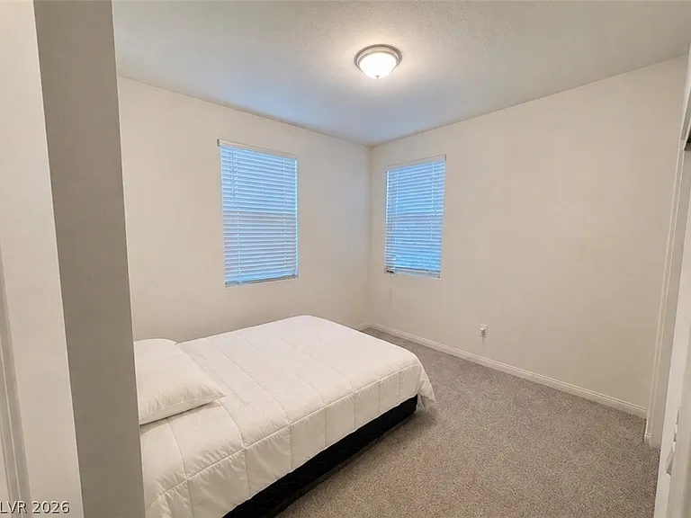1482 Upland Sandpiper St — Photo 13