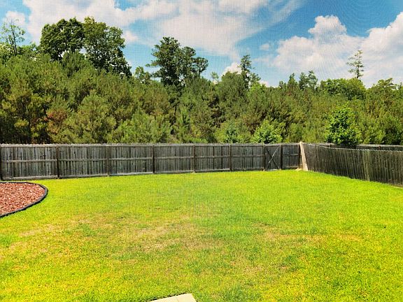 Backyard from screened porch