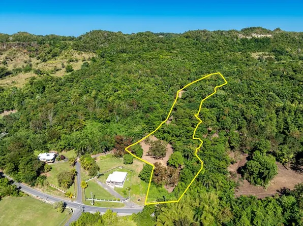 Carr 445 Km 6.4 Bo Saltos, San Sebastian, PR 00685