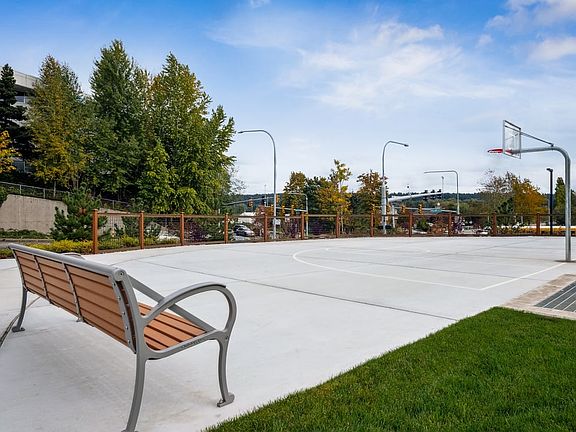 Basketball Court
