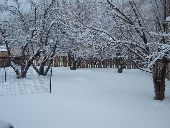 Orchard wrapped in Winter's Finest!