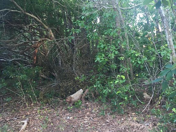 2nd image of Lot 100 Coot Davis Road LOT 100, 101, 102