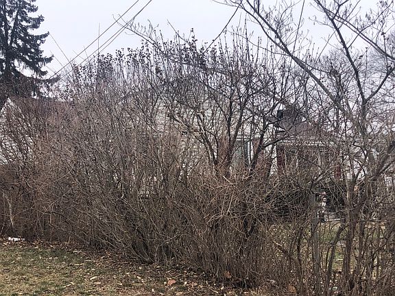 3rd image of 16 Harkins Dr