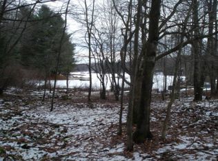 179 Blueberry Dr, Deposit, NY 13754