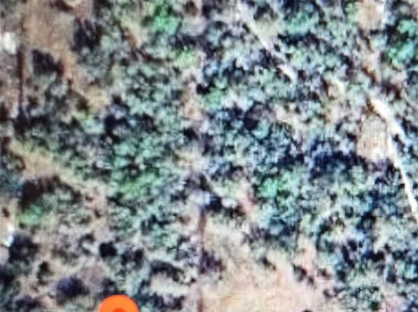 22343 NW 284th Street, Okeechobee, FL 34972