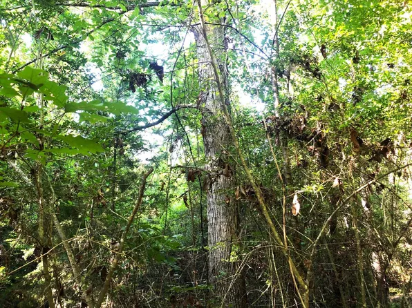 8835 S High Way #96, Jasper, TX 75951