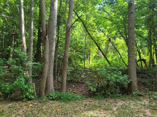 46 Nomini Ct, Montross, VA 22520