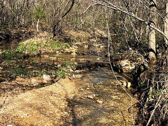 4th image of 12867 County Road 258