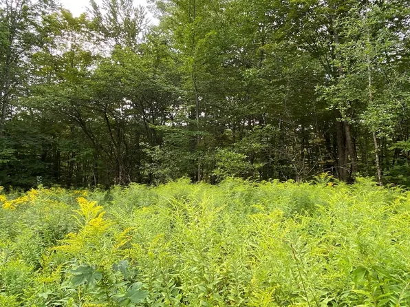 887 Maple Hill Road #T-9, T-10, T-11, Rochester, VT 05767