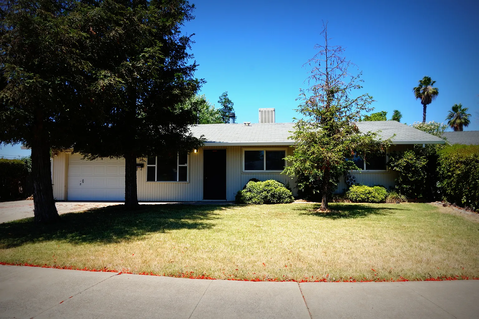 1111 Hall Ct photo 1