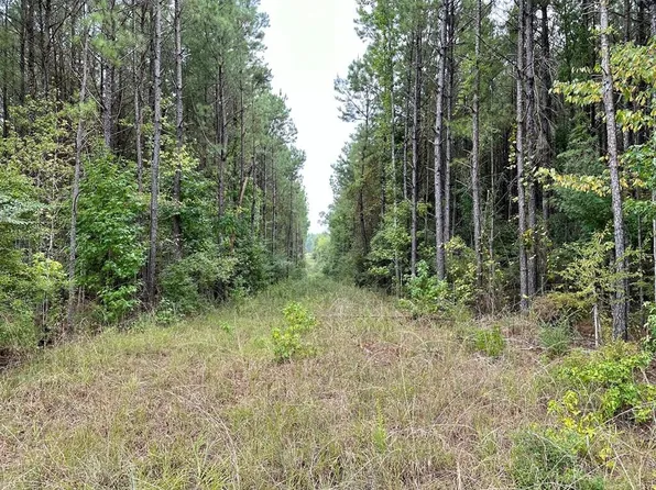Shannon Dr SW, Bogue Chitto, MS 39629
