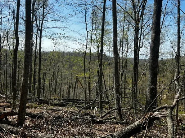 999 Chop Chestnut Rd, Stanton, KY 40380