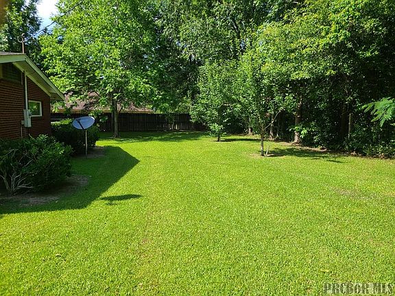 4th image of 203 Sweetgum St