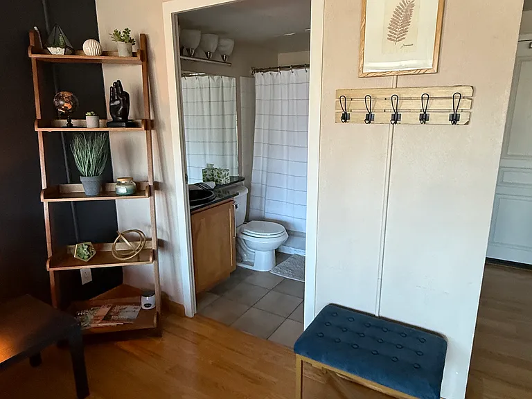417 E Kiowa St #906 — Photo 7
