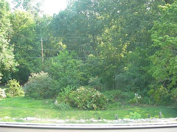 backyard from Den