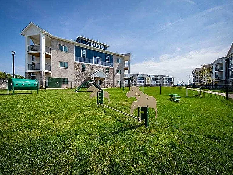 Dog Park