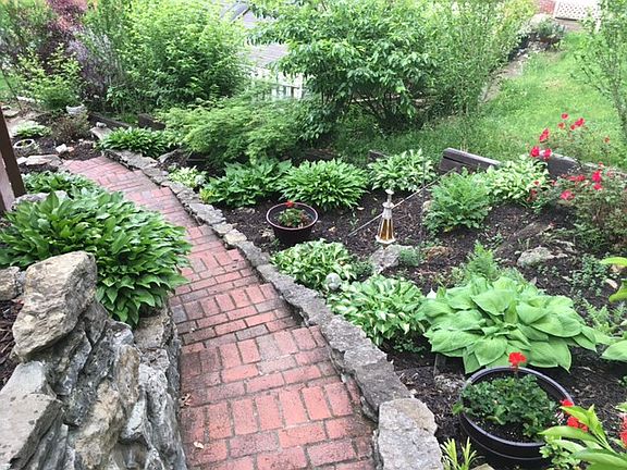 Backyard landscaping