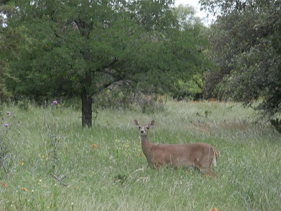 3rd image of 12025 Trailwood Dr Lot 25