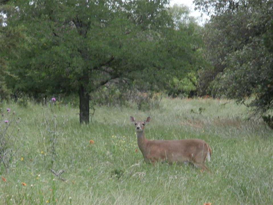 1st image of 30005 Woodcrest Ct Lot 5
