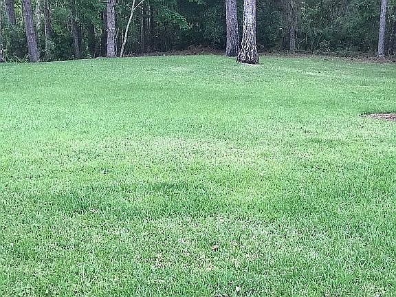 3/4 acre backyard 